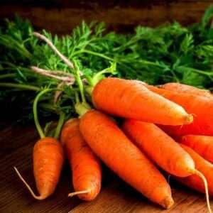 Carrot Early Nantus - Desi Vegetable Seeds