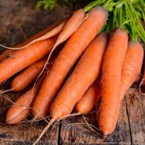 Carrot Kuroda - Vegetable Seeds