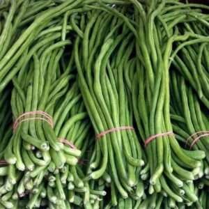 Lobia Beans - Desi Vegetable Seeds