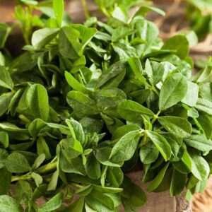 Methi Kasturi - Desi Vegetable Seeds