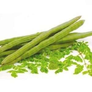 Moringa Oleifera, Drum Stick Rama PK - 115 - Vegetable Seeds