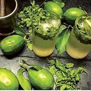 Gandhoraj Lemon Organic Fruit Plant