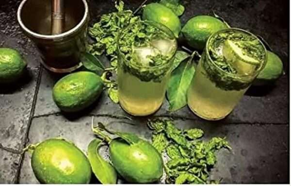 Gandhoraj Lemon Organic Fruit Plant