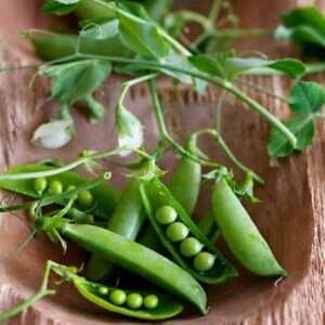 Sugar Pea, Snow Pea - Vegetable Seeds