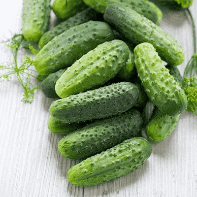 Cucumber SMR 58 - Vegetable Seeds
