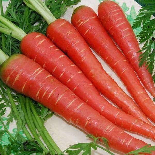 Carrot Red Long - Desi Vegetable Seeds