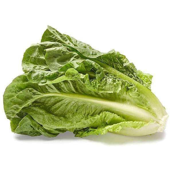 Lettuce Salad Crisp Head Great Lakes Green - Desi Vegetable Seeds