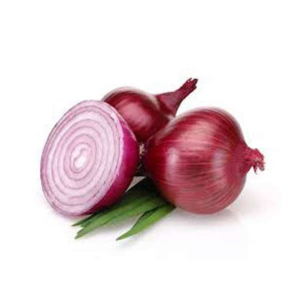 Onion NP 53 - Desi Vegetable Seeds