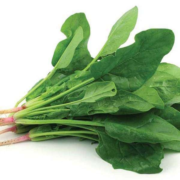 Spinach F1 Hybrid - Vegetable Seeds